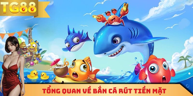 Một số thông tin cần nắm được về game bắn cá rút tiền mặt
